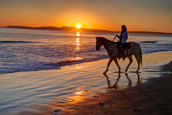 Marin Convention & Visitors Bureau