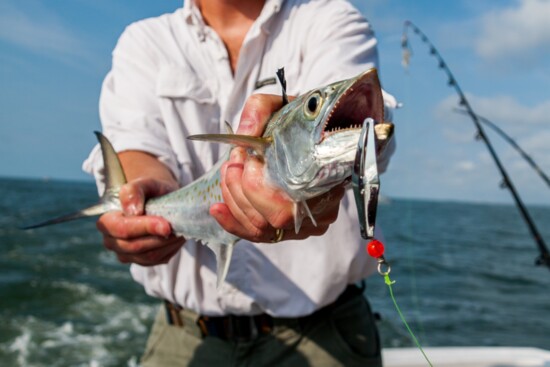 Take a charter fishing trip on Long Island Sound