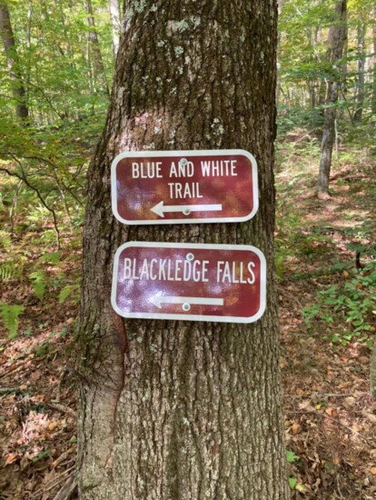 Visit a local park, such as Blackledge Falls in Glastonbury. 