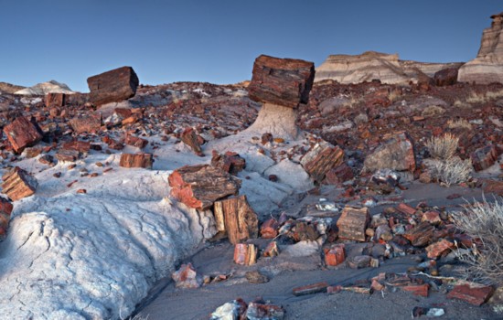 Petrified rocks in thePetrified Forest National Park. Courtesy Arizona Office of Tourism