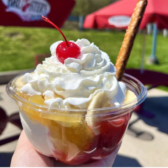 A banana split from Bruster's Real Ice Cream