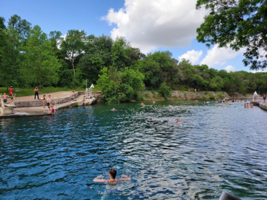 Barton Springs Pool. Photo courtesy of Austin Parks and Recreation.