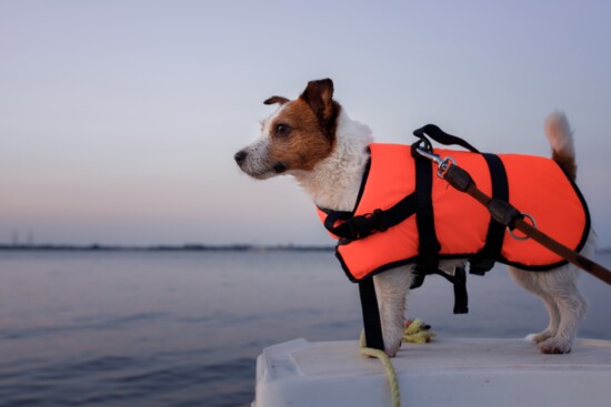 Use a Bright Colored Life Vest