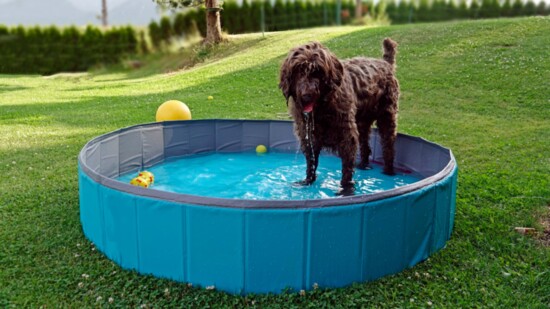 Getting Cool in the Pool