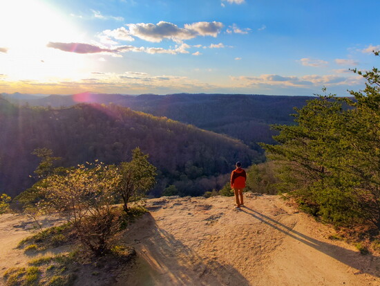 Red River Gorge, Kentucky features 29,000 acres of canyon.
