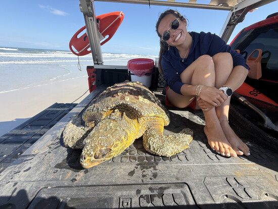 (Photo Credit: Volusia County Beach Safety & Ocean Rescue)