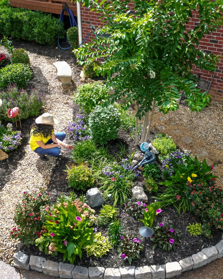 A bird's eye view of Towana Bowles working in her garden.