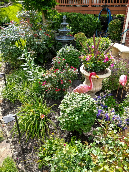 Along with colorful flowers, the garden also shines with beautiful greenery.