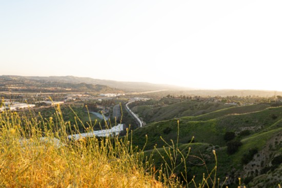 Clear sunset overlooking Orange County with a peek through the tall mustard grass.