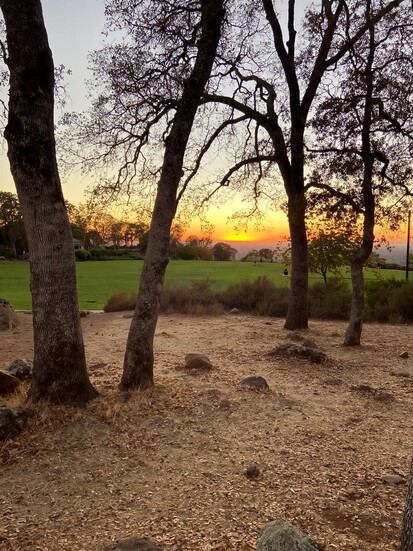 Kalithea Park, credit Krista Minard