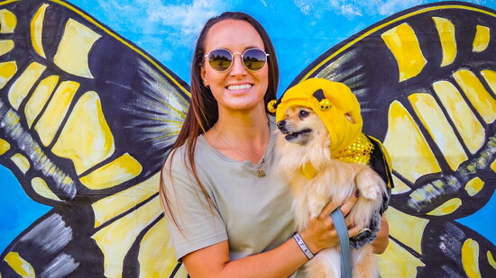 Bees & Butterflies