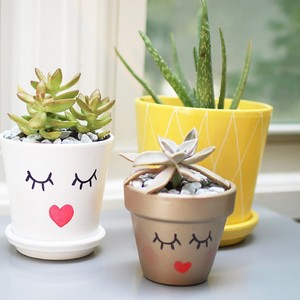 1-diy-plant-lady-pineapple-planters-header-300?v=1