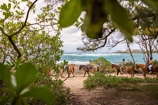 The Stables Horseback Ride
