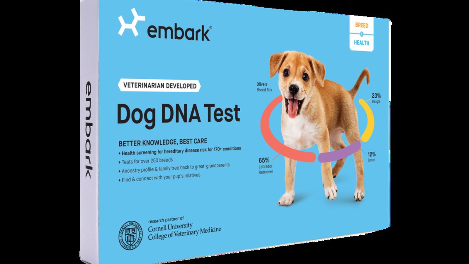 https://static.citylifestyle.com/articles/surpriseits-a-puppy/embark-dog-dna-test-1600.jpg?v=1