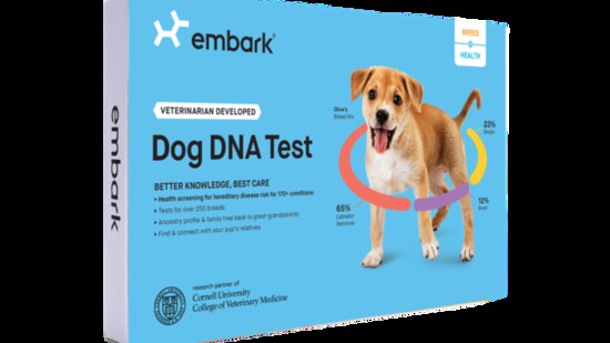 embark-dog-dna-test-550?v=1