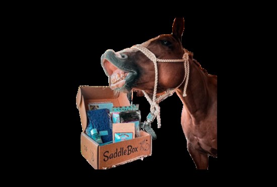 Saddle Box  $35/month   SaddleBox.net