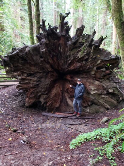 Dave in Redwoods National Park