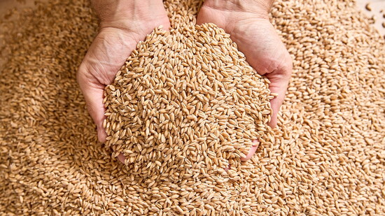 Kneads mills their own grains on-site. Photo by Meghan Olson.