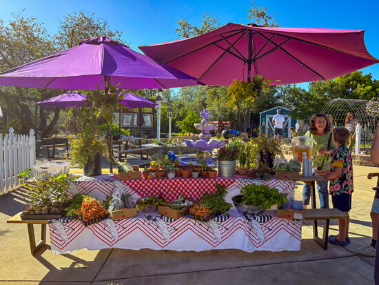 Jackson Elementary Farmer's Market