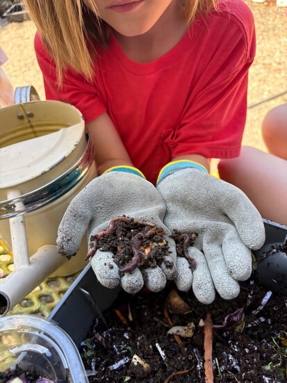 Vermicompost
