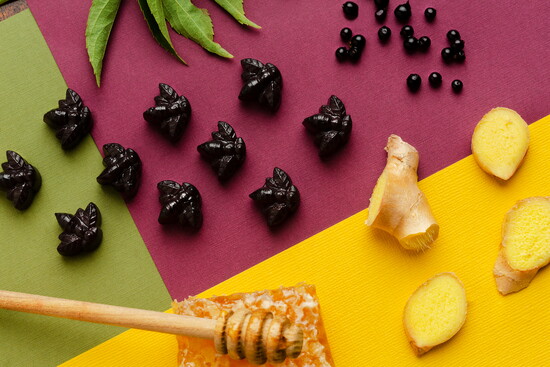 Inspired by Porter's Grandma Norma, Norma's Fruit Snacks are made with elderberry, honey, and ginger