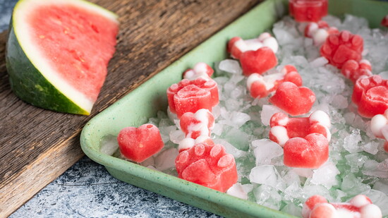 Watermelon Dog Treats