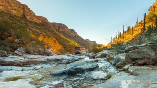 Sabino Canyon Recreational Park in Tucson.