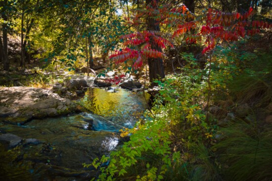 Horton Creek Trail