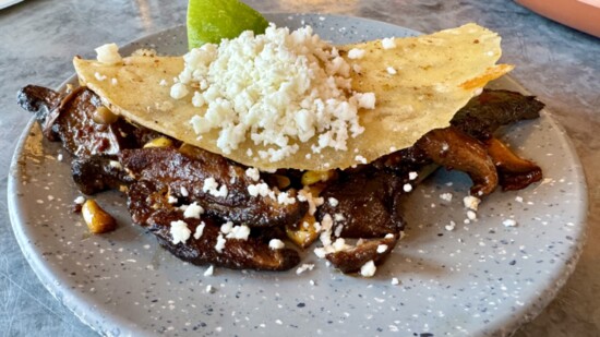 Mushroom Dorados taco at Lenora