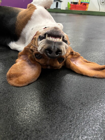 Walter- Most Likely to Get Out of Trouble With a Single Grin