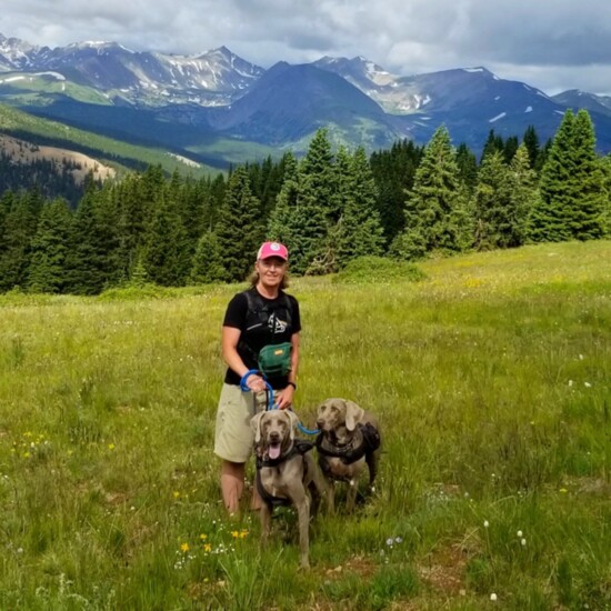 Black Powder Pass at the top of Boreas Pass