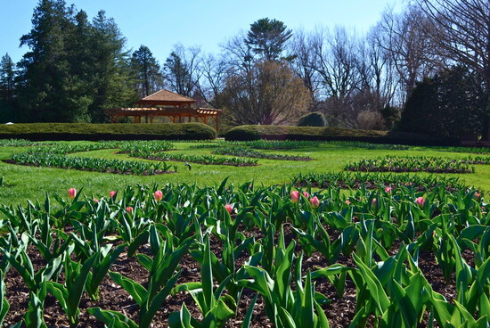 Elizabeth Park in Hartford has lovely grounds and hiking trails. 