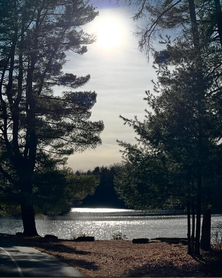 West Hartford Reservoir as seen from one of its trails. 