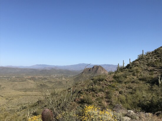 The View from Daisy Mountain