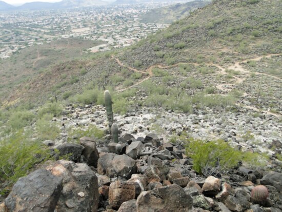 Looking Down from the Ridgeline