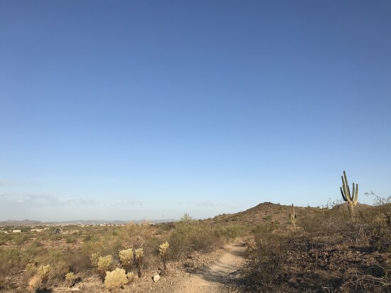 Hot Air Balloons Over Sidewinder Trail