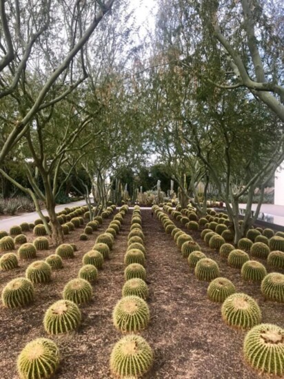 Sunnylands