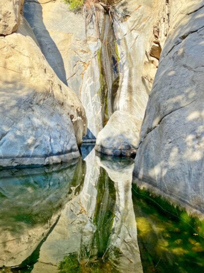 Tahquitz Canyon