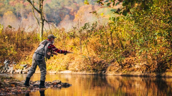 Bill Oyster takes the day off. Fly fishing in Blue Ridge is a feast for all senses this month.