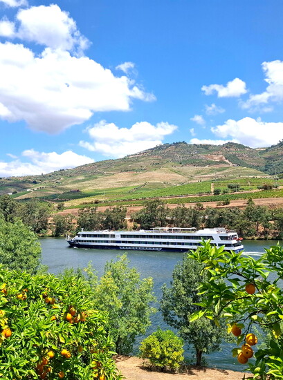 European river cruises offer regional foods, wines and landscapes