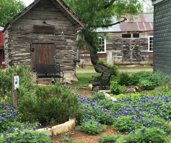 Photo 5 of 8