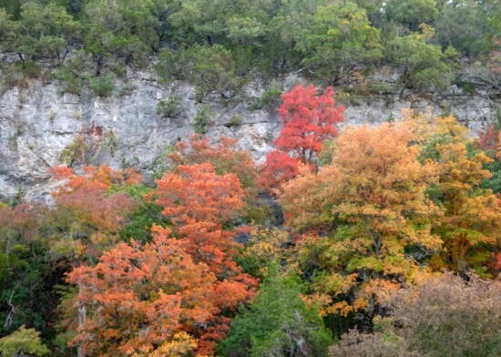 Lost Maples State Natural Area