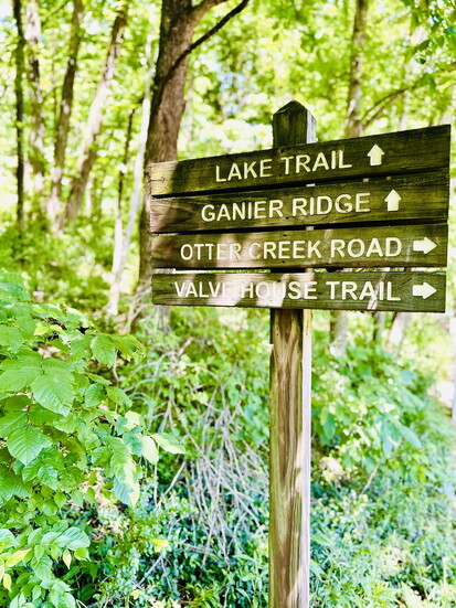 Radnor Lake, Photo by Mary Compton