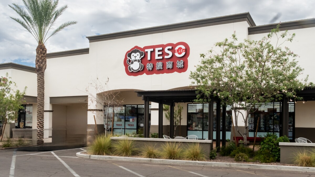 TESO Life Offers Something for Everyone