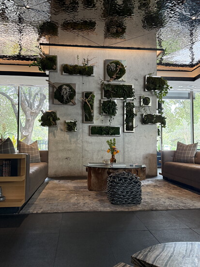 Check into luxury when visiting The Loren 