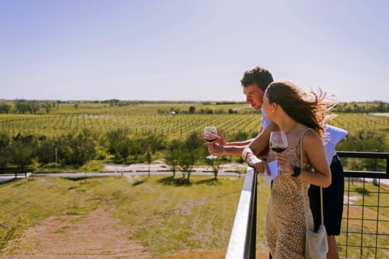 The tasting room at Chapelton Vineyards overlooks 