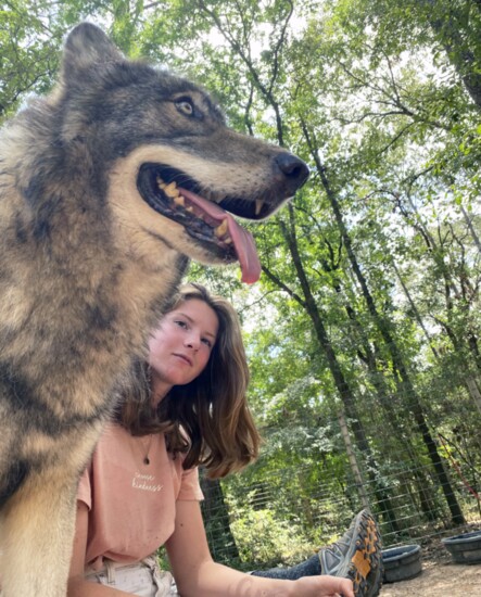 It is fascinating to learn the incredible stories of each wolfdog.