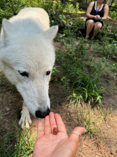 Athena loves her treats! 