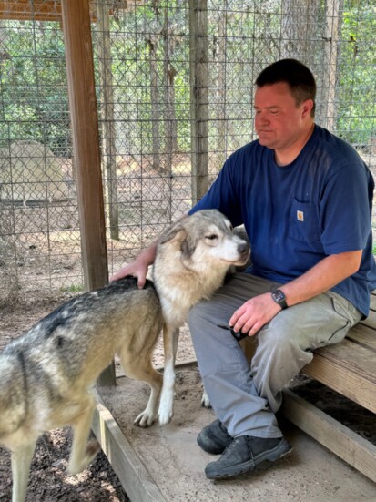 Founder, Austin Brisco, created this sanctuary for his wolfdog family.
