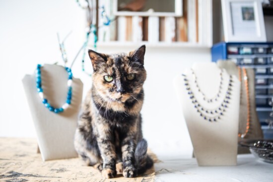 Furry friends among the artwork at the recent Fall Art Walk. 